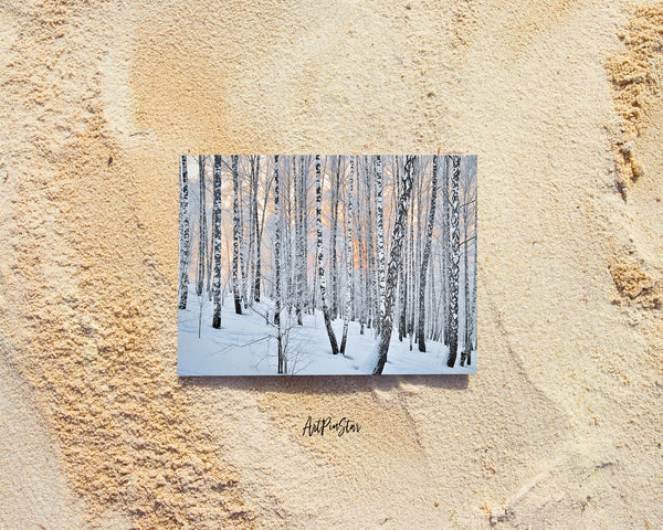 Birch Grove Trees Winter Landscape Custom Greeting Cards