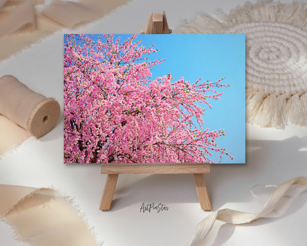 Cherry Blossom, Japan Landscape Custom Greeting Cards