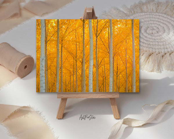 Autumn Bright Yellow Vibrant Trees Leaves Landscape Custom Greeting Cards