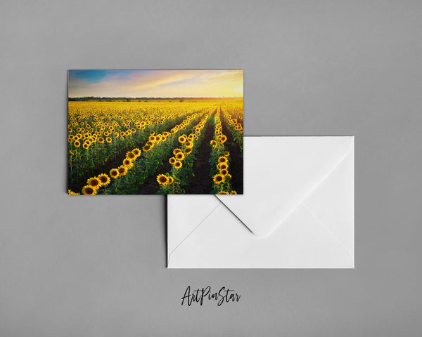 Field of Sunflowers Landscape Custom Greeting Cards