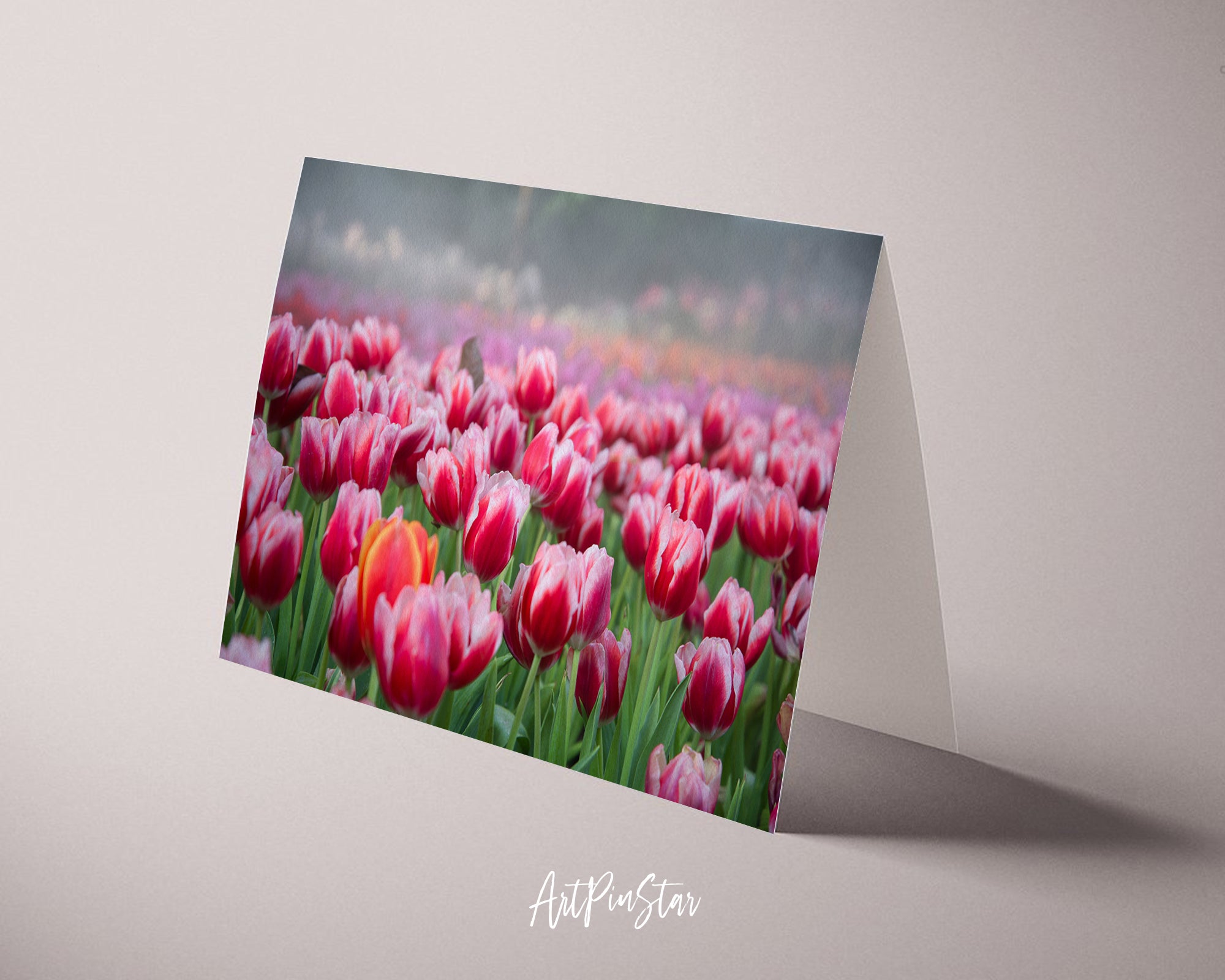 Tulips Flower Photo Art Customized Gift Cards